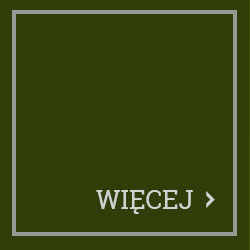 wiecej
